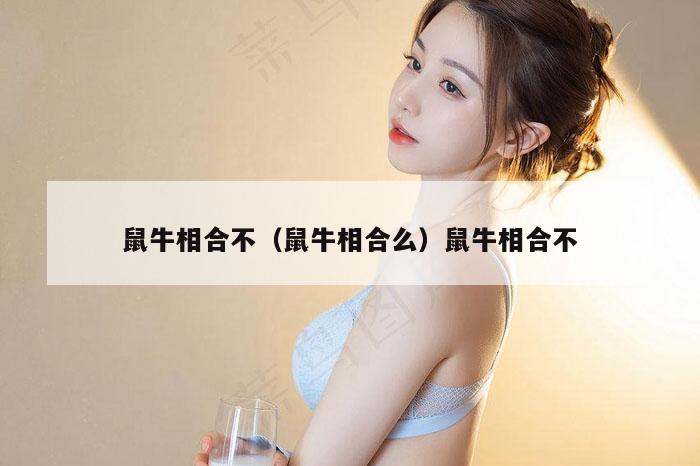 鼠牛相合不(鼠牛相合么)鼠牛相合不